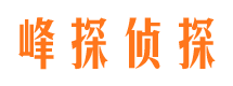 梅河口市调查公司